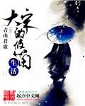 木子的大宋生活
