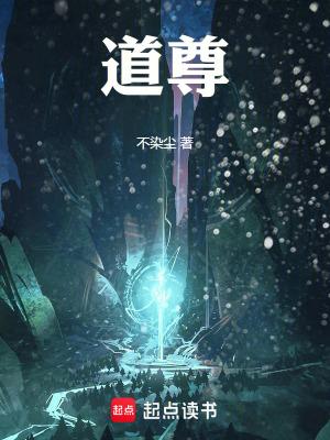 道尊陈夜实力