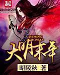 大明末年第24集在线观看
