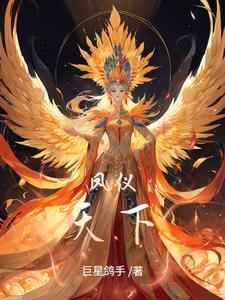 凤仪天下乜乜
