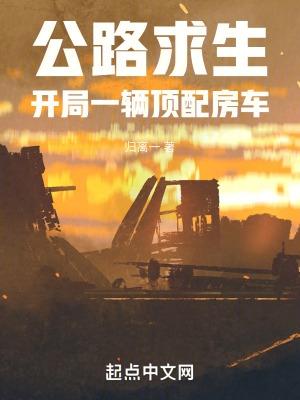 公路求生的系统