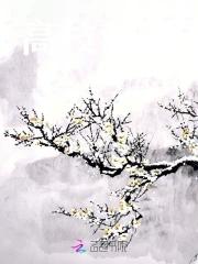 高枝难攀主要内容