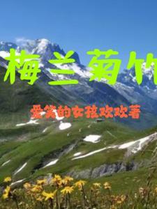 梅兰竹菊图