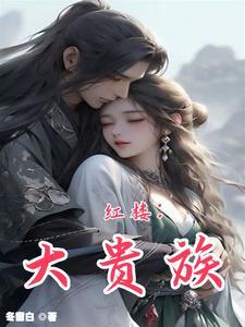 红楼梦 王