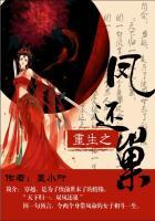 重生之凤回巢 顾莞宁