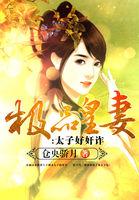 极品皇太子阅读