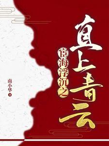官场 鹿书记