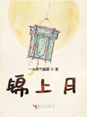 锦上月鸣府户型图