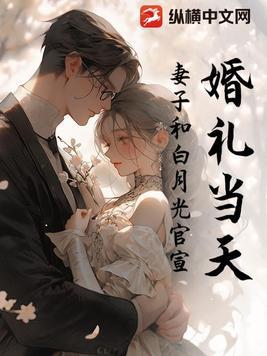 播放妻子和白月光