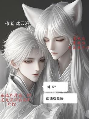 南烛夜半作品