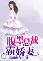 腹黑总裁的惹火娇妻
