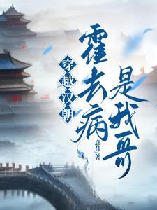 穿越汉朝霍去病是我哥