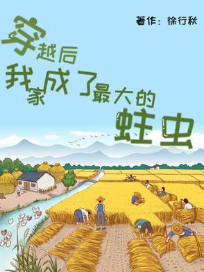 我家成了最大的蛀虫