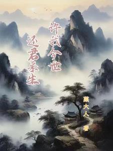 许我来生爱你免费阅读