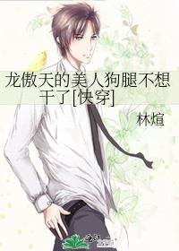 龙傲天的美人师尊免费