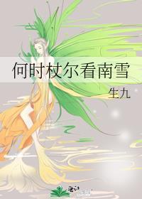 何时杖尔看南雪 全诗