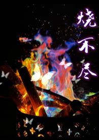 烧不尽1v1温宁