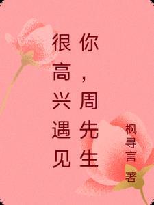 很高兴见到你先生