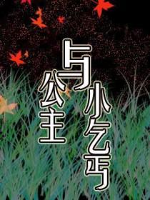 公主与小乞丐gl评分