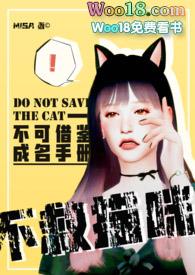 不救猫咪全文阅读