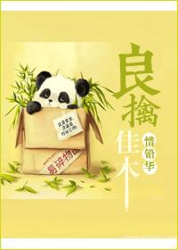 良禽择佳木而栖什么意思