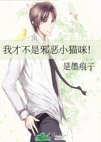 我才不是邪恶小猫咪免费观看