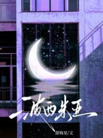 波西米亚战争