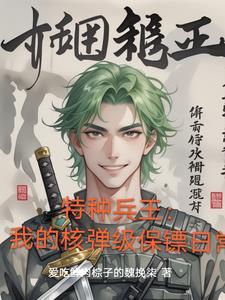 我的特种兵二