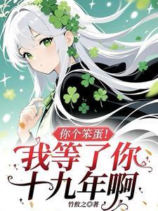 你个笨蛋是什么意思