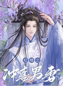 红楼同人男主文