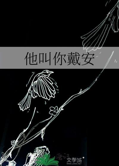 戴安 安先生