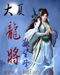 大夏龙雀电视剧
