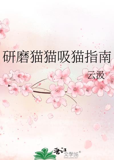 研磨猫猫吸猫指南免费阅读
