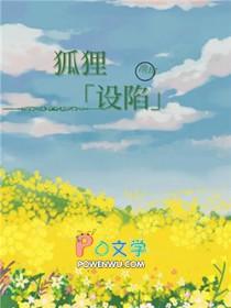 狐狸的陷阱免费阅读