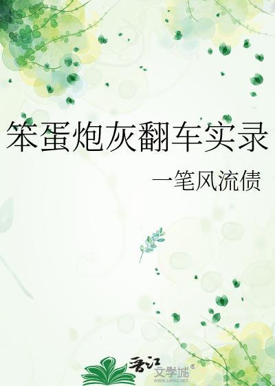 笨蛋炮灰翻车实录本书作者 一笔风流债