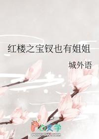 红楼之宝钗是个旺夫命