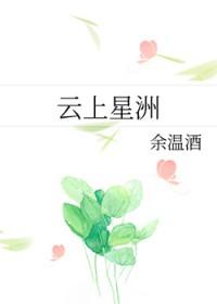 星途网络科技有限公司