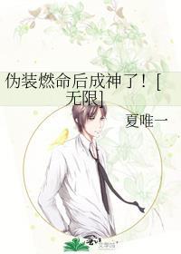 伪装是啥意思?