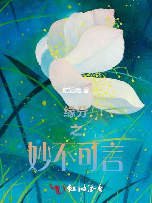 缘分妙不可言电视剧