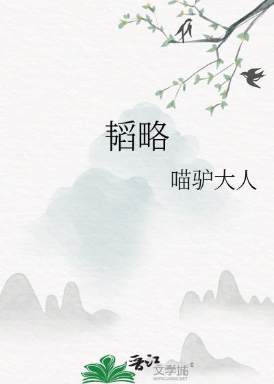 韬略集团老板是谁