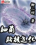 细菌终极战国语