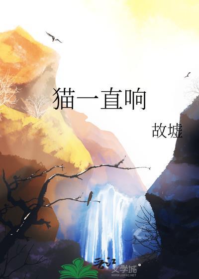 猫一直响晋江