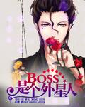 外星人笔记本boss设置