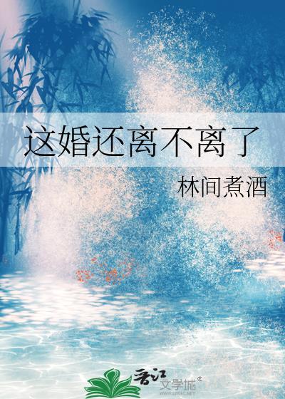 这婚还离不离了by时间煮酒百度