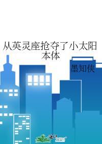 从英灵座抢夺了小太阳本体免费
