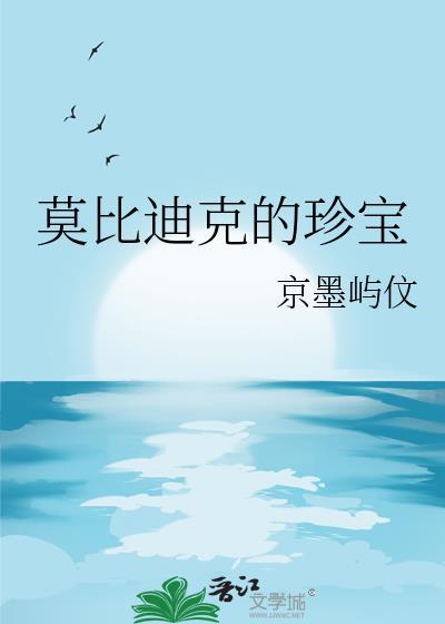 莫比迪克的珍宝海贼王