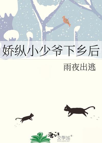 娇纵小少爷下乡后 作者雨夜出逃