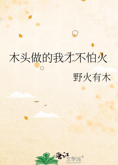 拿木头做的东西