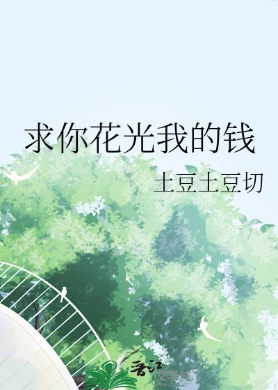 求你花光我的钱英文