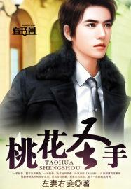 桃花圣手短剧